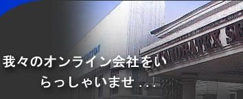 welcome to our online company